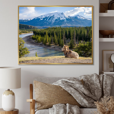 Faune sauvage, paysage de l'Alaska II