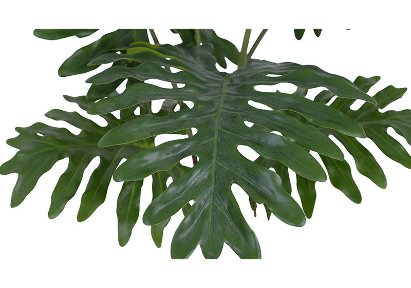 PLANT PHILODENDRON POT 3FT