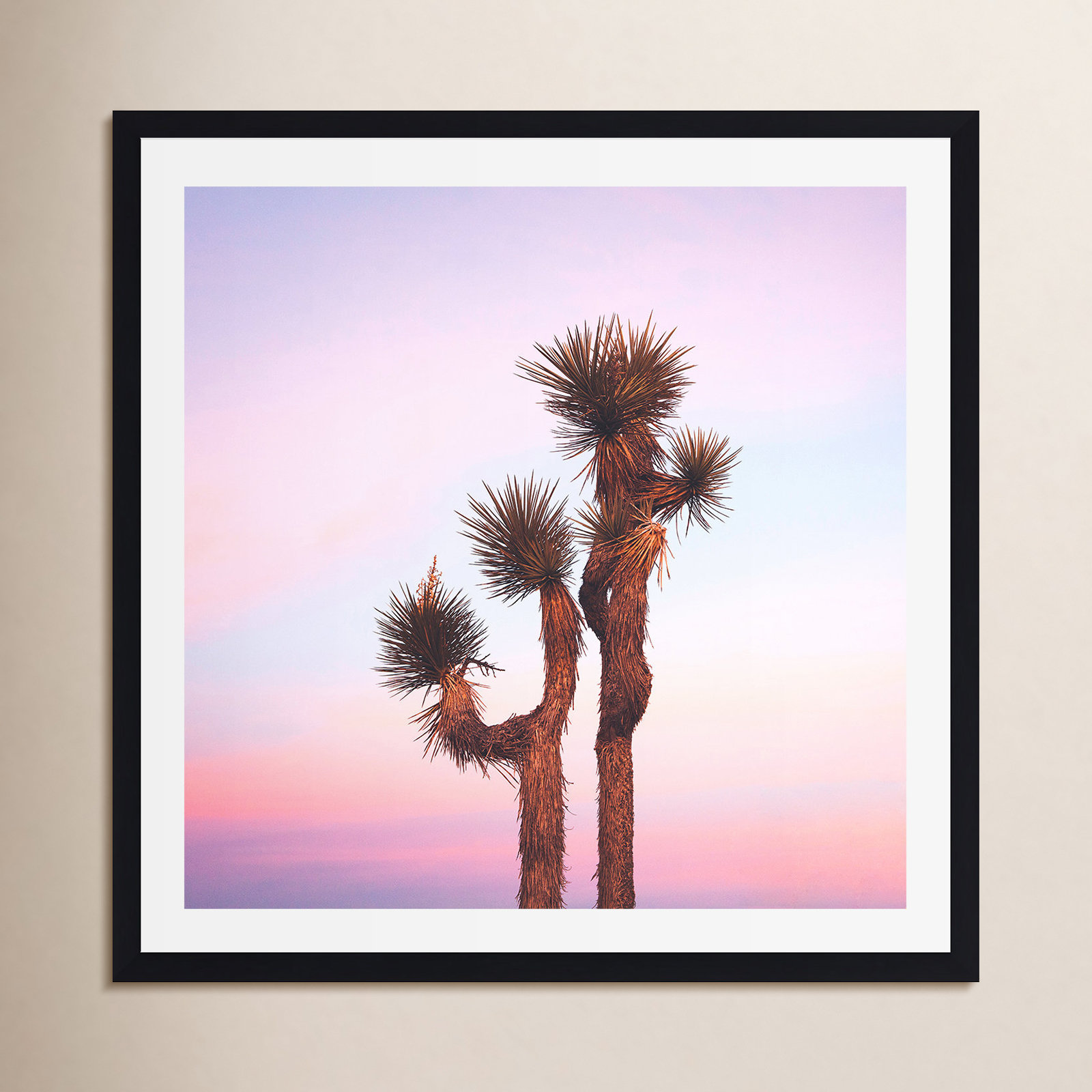 Desert Skies by Catherine McDonald, Black Single Picture Framed, Yes, 20" H x 20" W x 0.75" D