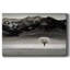 Arbre solitaire - peinture sur toile tendue-767939972