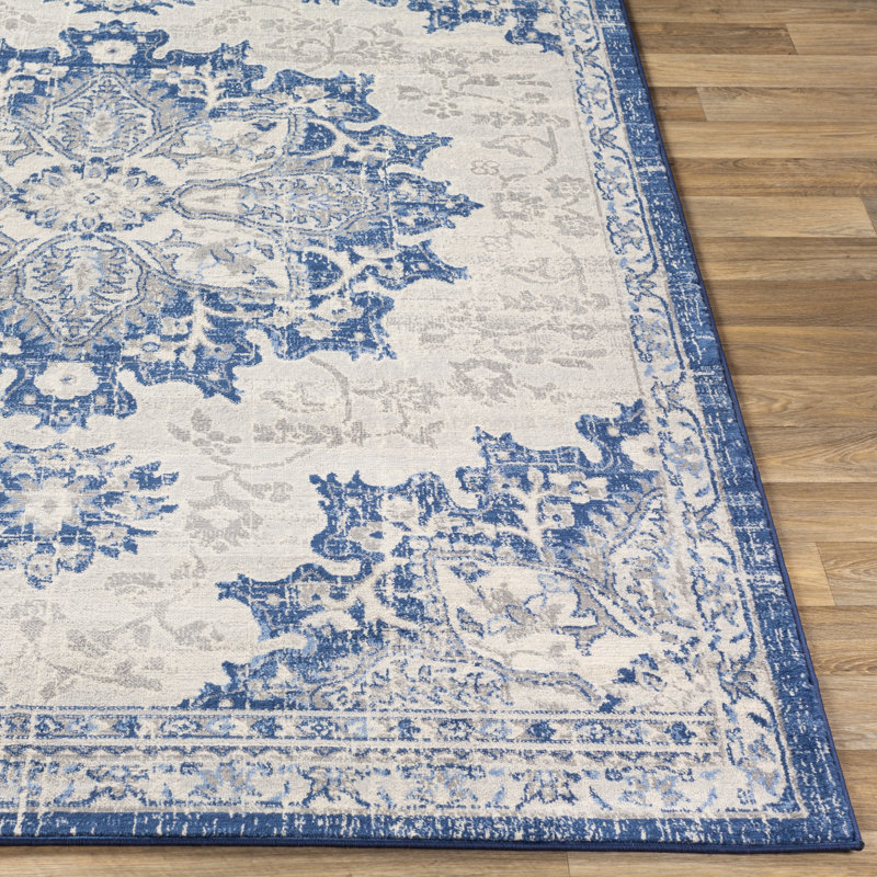 Swaney Southwestern Indoor Rug, Rectangle 8'10" x 12'3"