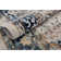 Lucha Oriental Indoor Rug