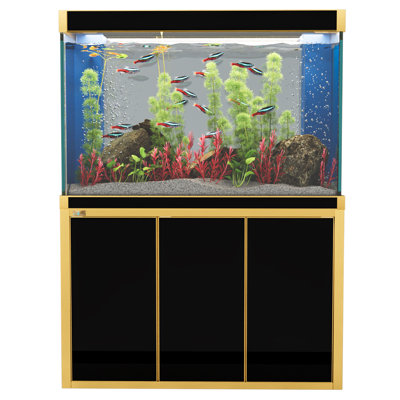 Réservoir d'aquarium rectangulaire