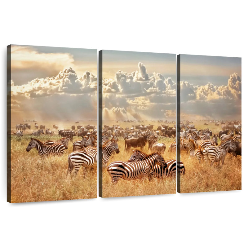 Wild African Zebras, 24" H x 38" W