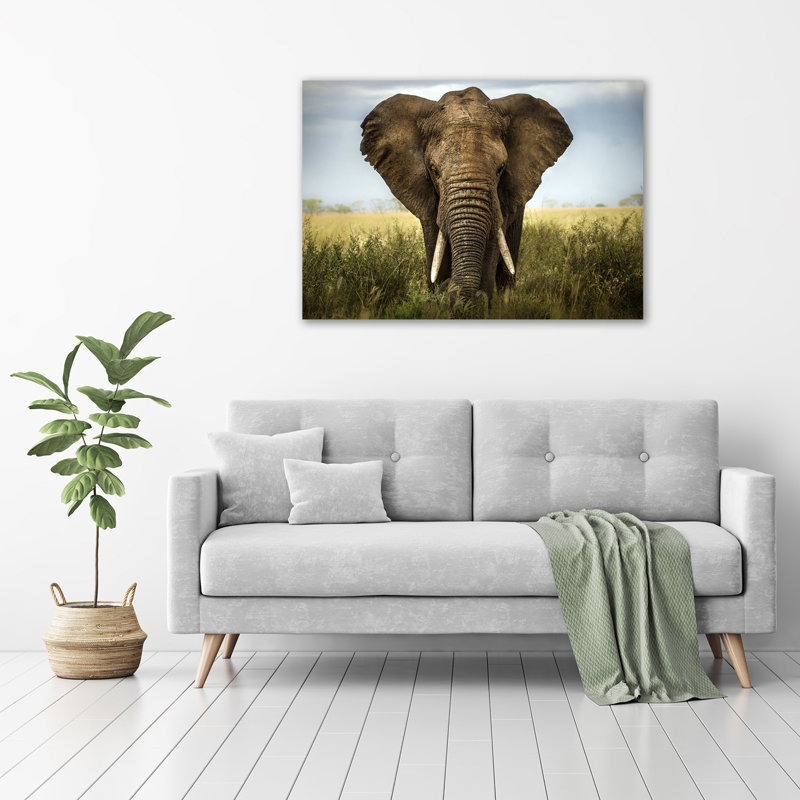 Elephant On The Savanna - No Frame Print on Canvas