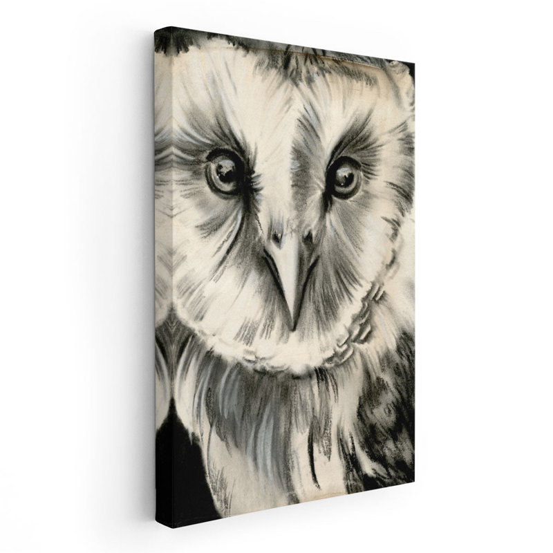 Charcoal Owl II - reproduction d'art sur toile, H 18 po x l 12 po
