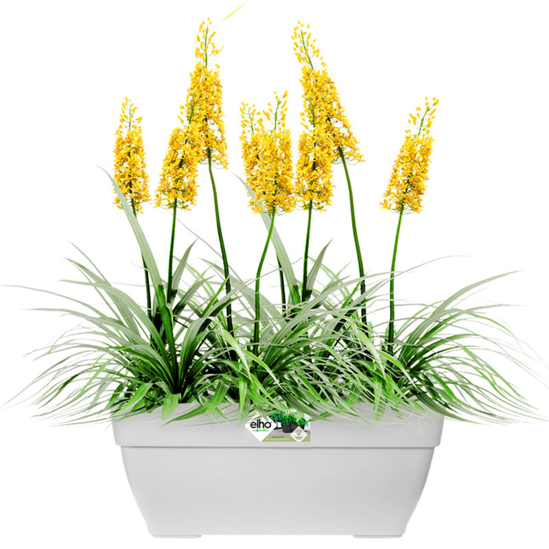 Pot Planter