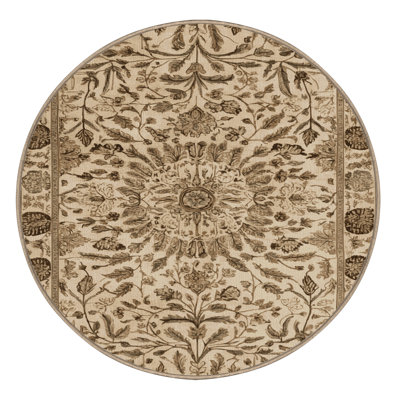 Machine Washable Nature Brown Area Rug