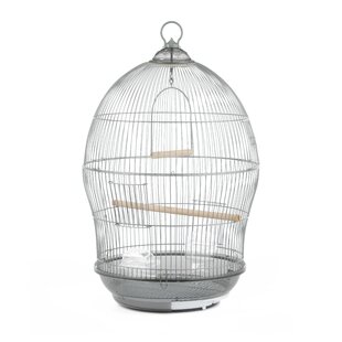 Ciani 24'' Plastic Dome Top Hanging Bird Cage with Perch