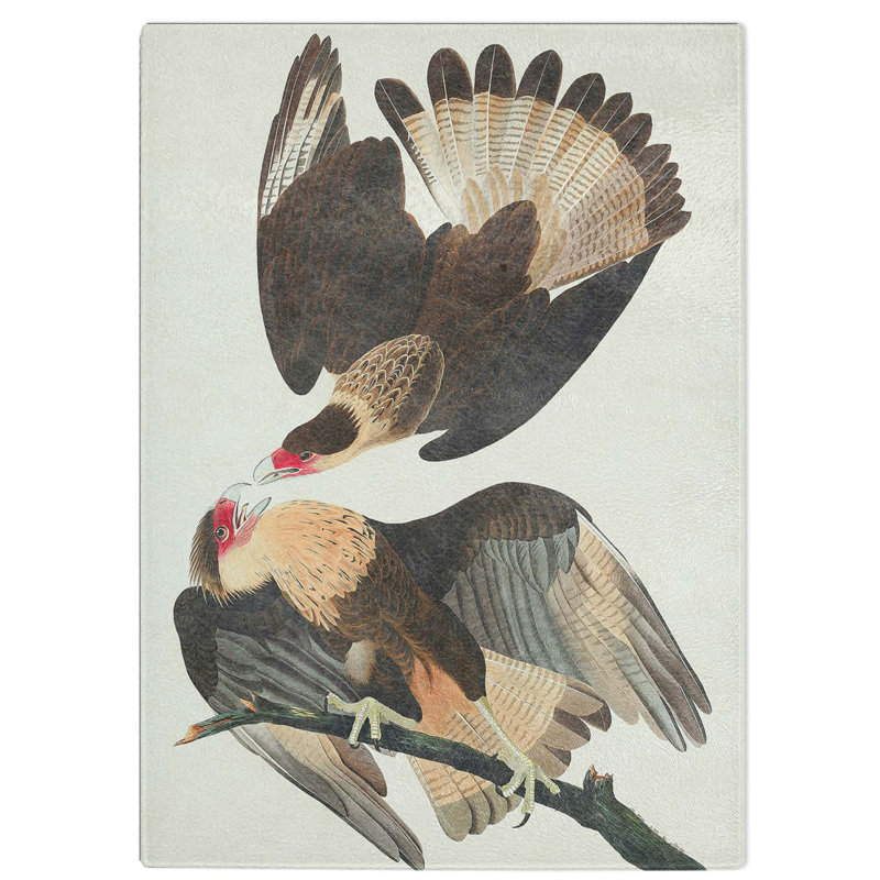 Tempered Glass Brazilian Caracara Eagle Chopping Board, 28.5 cm W x 39 cm L