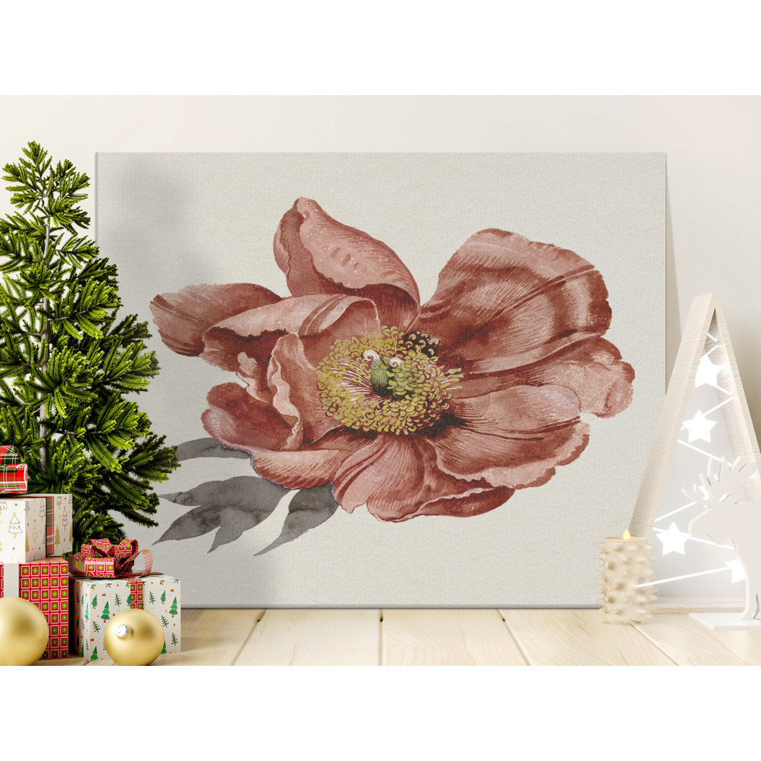 Floral Canvas Wall Art, Vintage Flower Print, Gallery Wrapped Canvas, Ready to Hang, Archival Ink, Botanical decor, Peony Flower Art