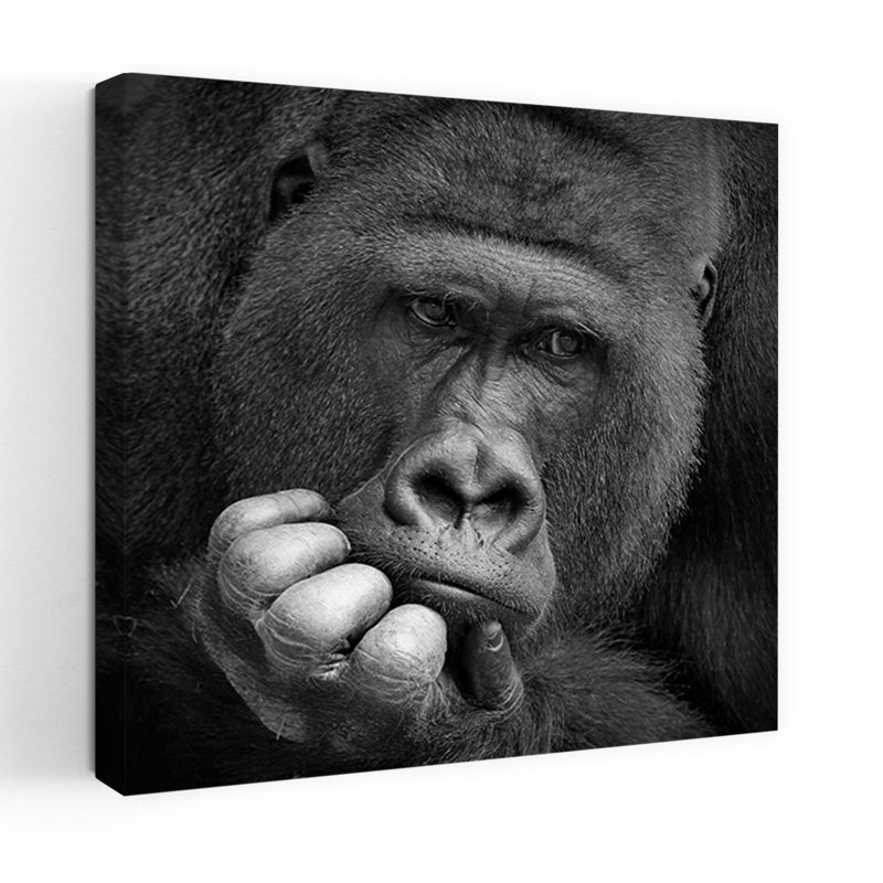 Art contemporain singe gorille contemporain, H 36 po x l 36 po