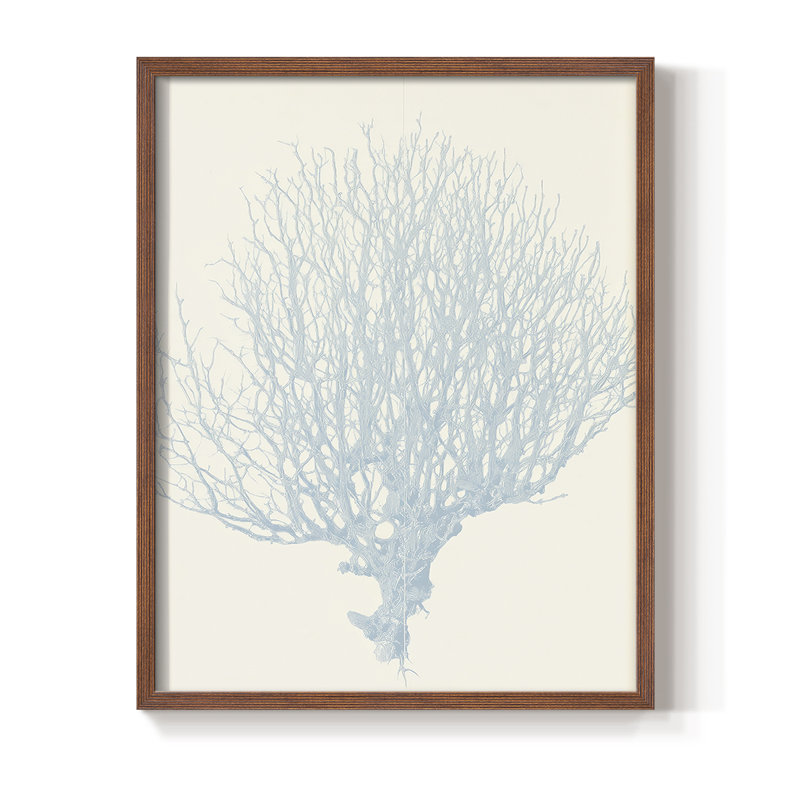 NAUTICAL Series XIII, reproduction encadrée - bois massif, H 11 po x l 9 po, Noyer