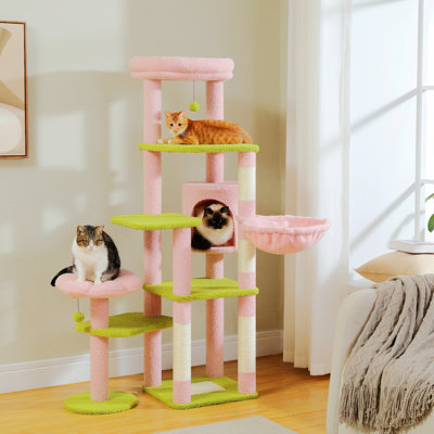Epifanio 59'' H Cat Tree