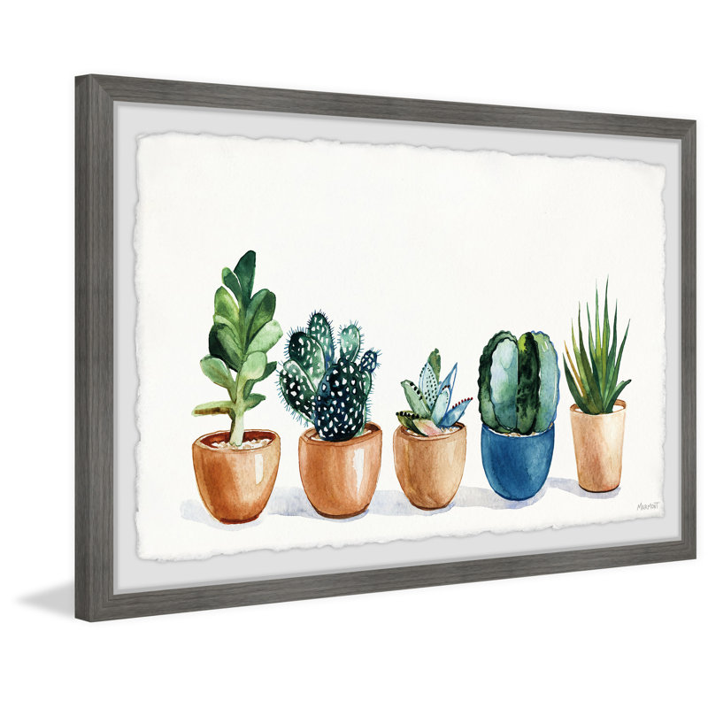 Growing Succulents - Single Picture Frame Painting, 41 cm H  x 61 cm W