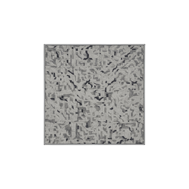 Machine Washable Gray Area Rug, Square 8'