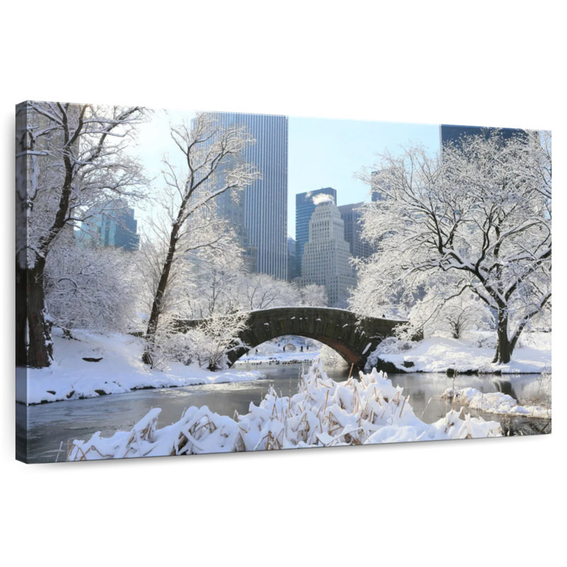 Kavia Snowy Central Park, NY, H 8 po x l 12 po