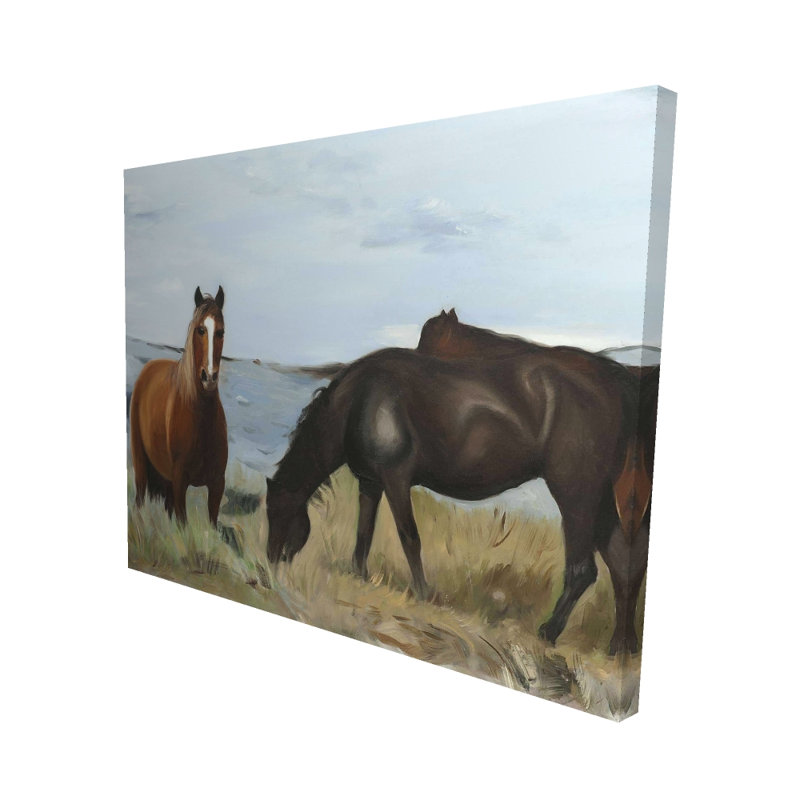Chevaux mangeant dans la prairie