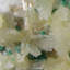 Cristal Carolinda