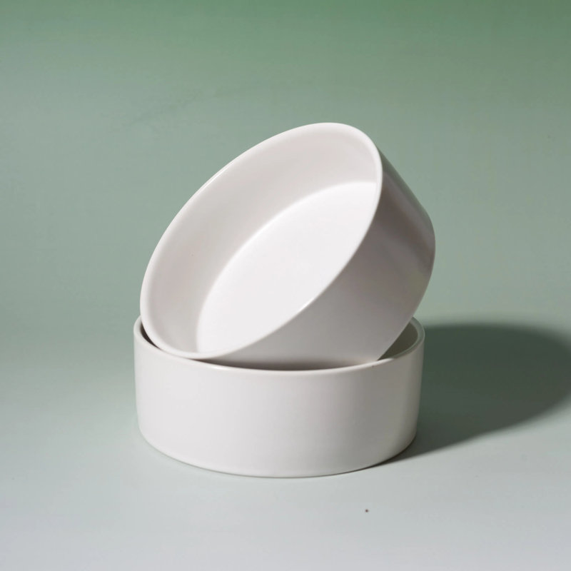  Bone China Double Pet Feeder, Elevated Cat Dog Food Double Bowls, Ceramic Pet Feeding Bowl for Food and Water, White