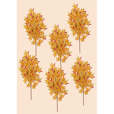 Jets de feuilles d'érable japonais