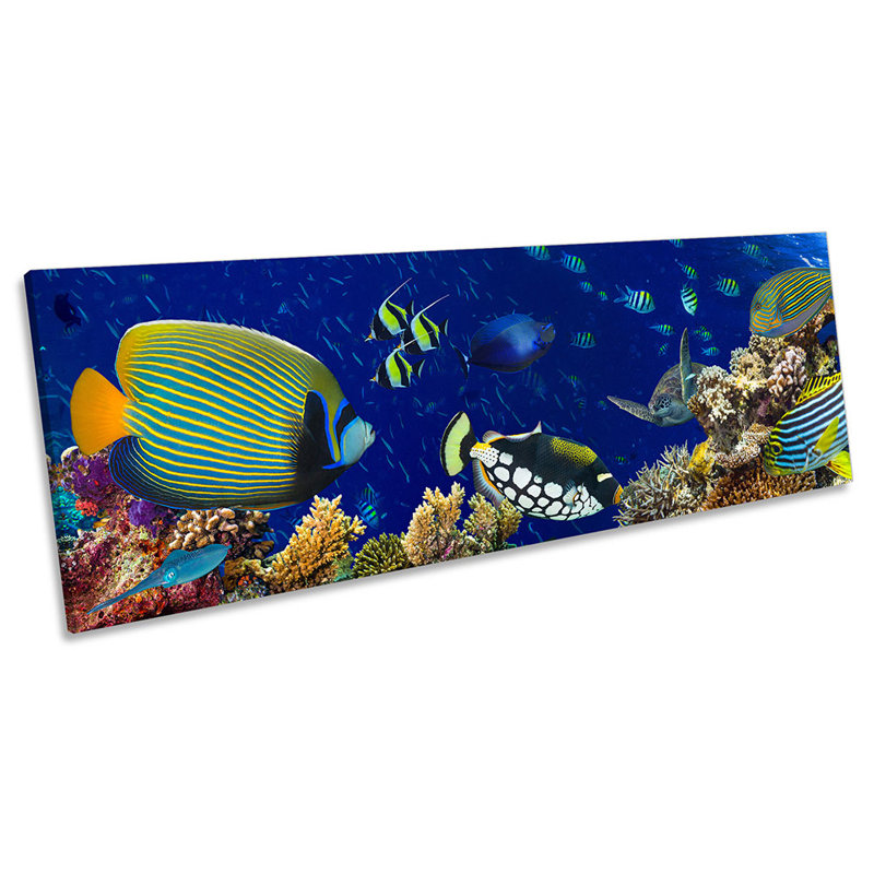 Marine Fish Coral - Wrapped Canvas Panoramic Art Prints, 40.64cm H x 121.92cm W