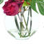 Tropical Arrangement with Orchids and Peonies