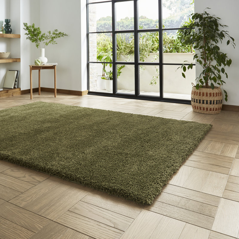 Porretto area rug Machine Woven Rectangle Olive, Rectangle 160 x 230cm