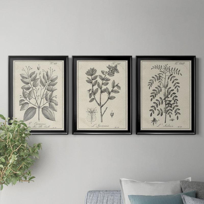 Antique Black and White Botanical VII - Ensemble de 3 peintures sur toile encadrées, H 36 po x l 109,5 po x P 1,5 po