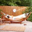  Classic Hammock with Stand