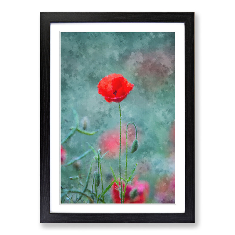 A Lone Poppy Flower - Picture Frame Graphic Art, 36cm H x 27cm W x 2cm D, Black Framed