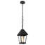 Lanterne suspendue d'extérieur 1 lumière cloche / cône