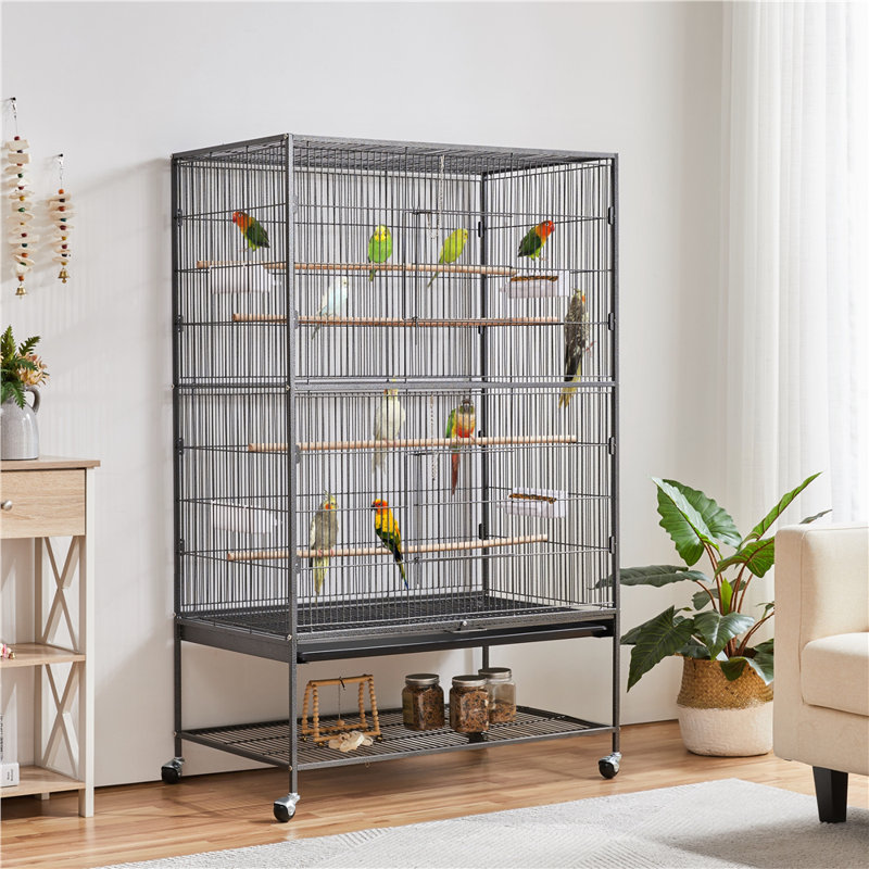 Cage de vol Dawley