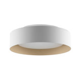 Carruthers LED Flush Mount
