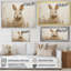 Charme de fleur curieux Bunnys-97056674-97056675