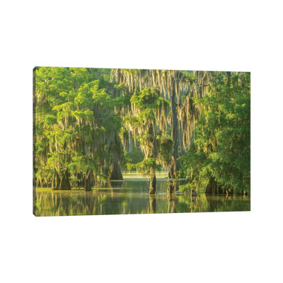 USA, Louisiana, Atchafalaya National Wildlife Refuge. Sunrise on swamp. 1 Piece Wrapped Canvas Wall Art