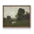 Noyer