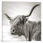 Hesitate by Mark Gemmell - Wrapped Canvas Print-41187031