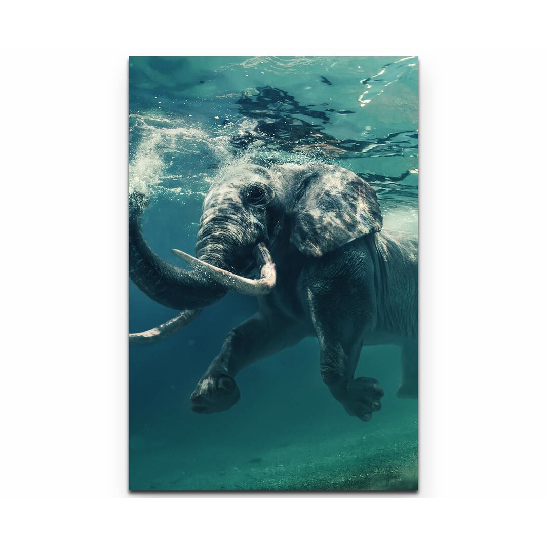 Leinwandbild Schwimmender Elefant