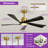 Karlena 52" ABS Blades Ceiling Fan with Light, Remote, Reversible DC Motor, 6-Speed, 3-Color Dimmable, Timer & Memory (Set of 2)-133011333
