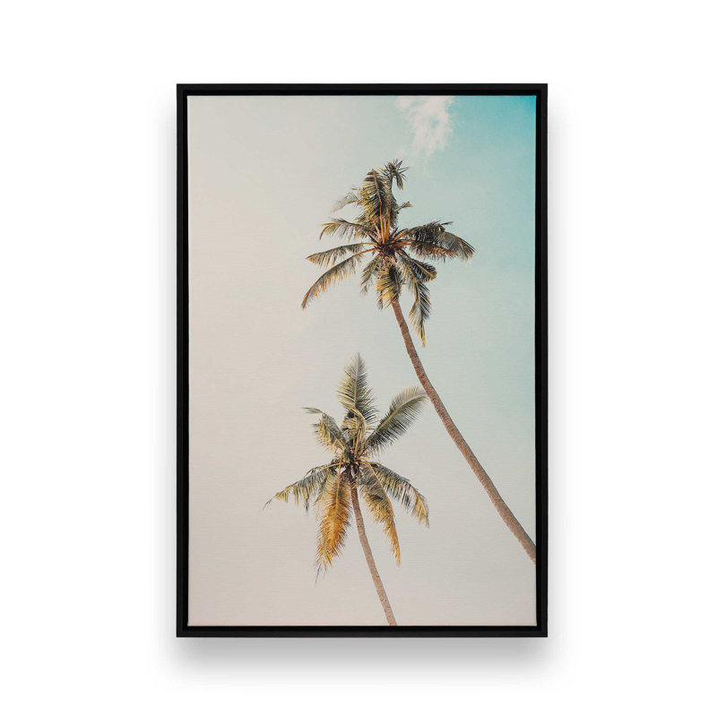 Impression sur toile tendue Sunlit Palm Sky, Cadre flottant noir satiné, H 18,75 po x l 12,75 po x P 1,75 po