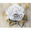Napperon White Décoration rustique
