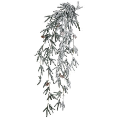 Naes Pine Cascade Bush Plant