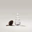 Five-Sided Evergreen-130427529