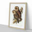 Masked Barn Owls by Elizabeth Gould - Framed Print-55575606-55575605