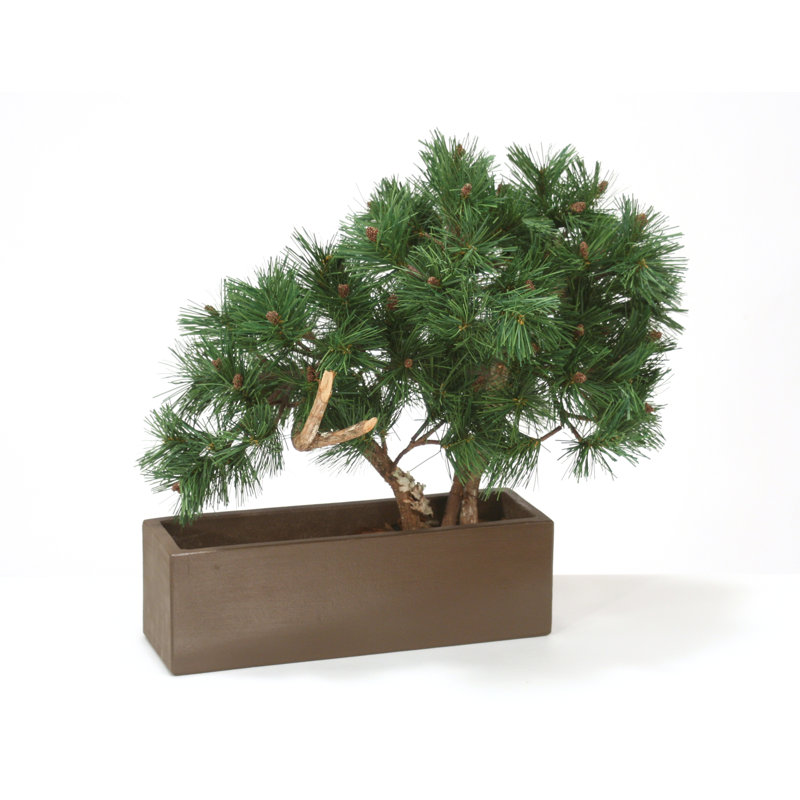 18'' Faux Bonsai Tree in Earthenware Pot