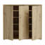 Chadwic 20 Pair Shoe Storage Cabinet-124889387