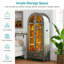 78.74 cm W Display Cabinet-589741600