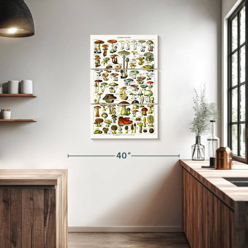 Yarlin Mushroom Varieties, 38" H x 24" W