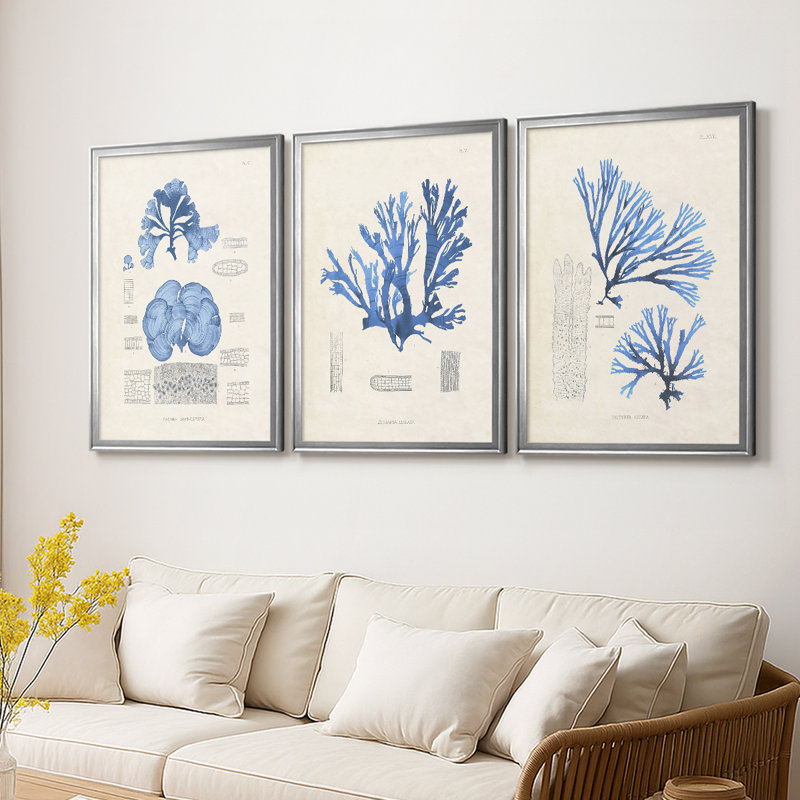 Blue Marine Algae IV - Toile tendue avec châssis sur mesure - 3 pièces, Argent argent, H 19 po x l 27 po